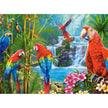 Castorland dėlionė Parrot Meeting 2000 det.