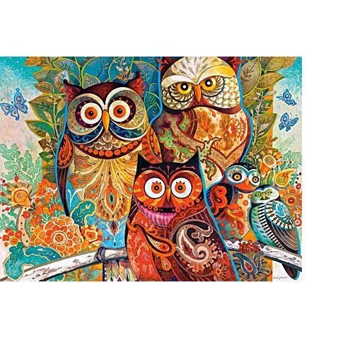 Castorland dėlionė Owls 2000 det.