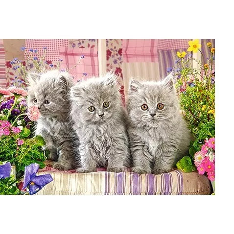Castorland dėlionė Three Grey Kittens 300 det.