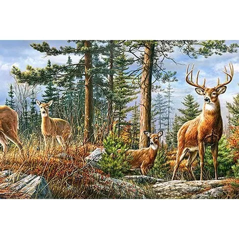 Castorland dėlionė Royal Deer Family 4000 det.