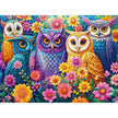 Castorland dėlionė Flower Owl Meeting 3000 det.