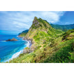 Castorland dėlionė Green  Madeira 500 det
