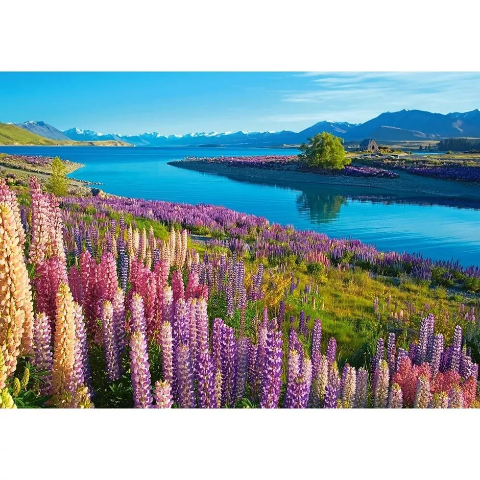 Castorland dėlionė Lake Tekapo New Zealand 500 det.