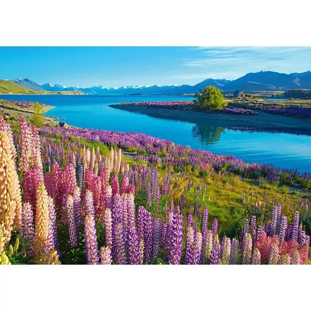Castorland dėlionė Lake Tekapo New Zealand 500 det.