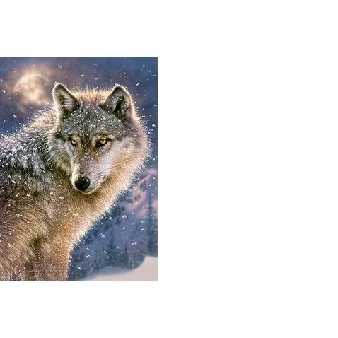 Castorland dėlionė Lone Wolf  500 det.