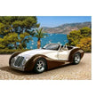 Castorland dėlionė  ROADSTER IN RIVIERA  260 det.