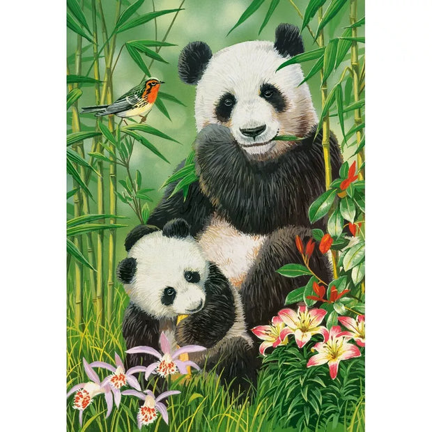Castorland dėlionė Panda Brunch 1000 det.
