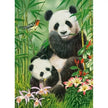 Castorland dėlionė Panda Brunch 300 det.