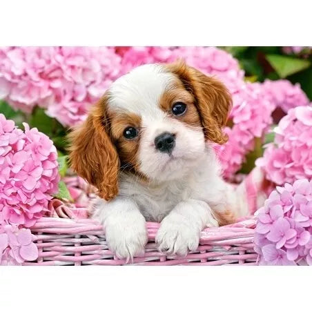 Castorland dėlionė Pup in Pink Flowers 500 det.