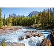 Castorland dėlionė Athabasca River Jasper National Park Canada 1500 det.