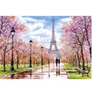 Castorland dėlionė Romantic Walk in Paris 1000 det.