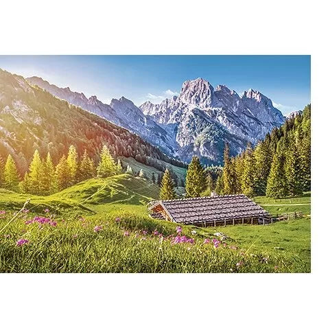 Castorland dėlionė Summer in the Alps  500 det.