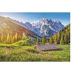 Castorland dėlionė Summer in the Alps  500 det.