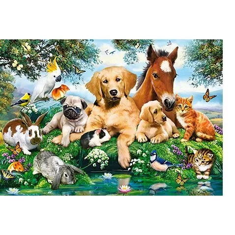 Castorland dėlionė Summer Pals 500 det.