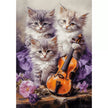 Castorland dėlionė Musical Kittens 500 det