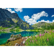 Castorland dėlionė Czarny Staw pod Rysami, Tatras, Poland 500 det