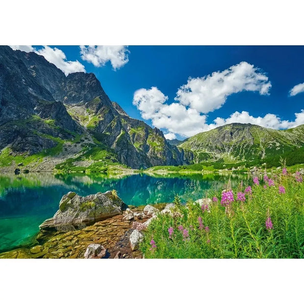 Castorland dėlionė Czarny Staw pod Rysami, Tatras, Poland 500 det
