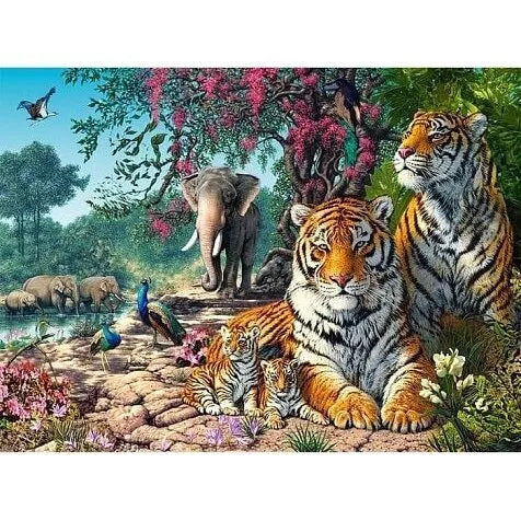 Castorland dėlionė Tiger Sanctuary  3000 det.