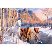 Castorland dėlionė Winter Melt 500 det