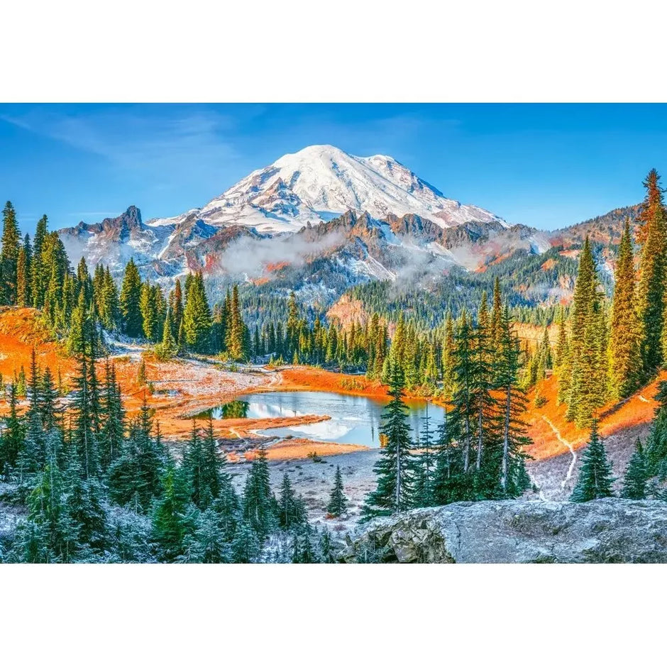 Castorland dėlionė Mount Rainier National Park, USA 1000 det