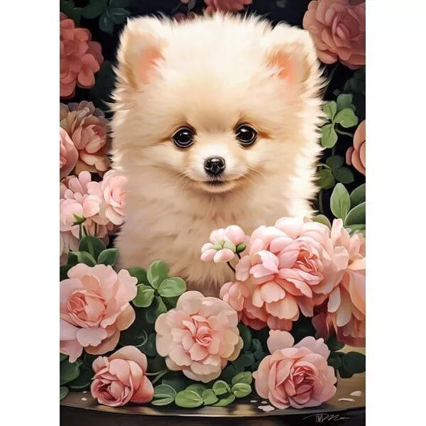 Castorland dėlionės Pomeranian Puppy in Roses 60 det.