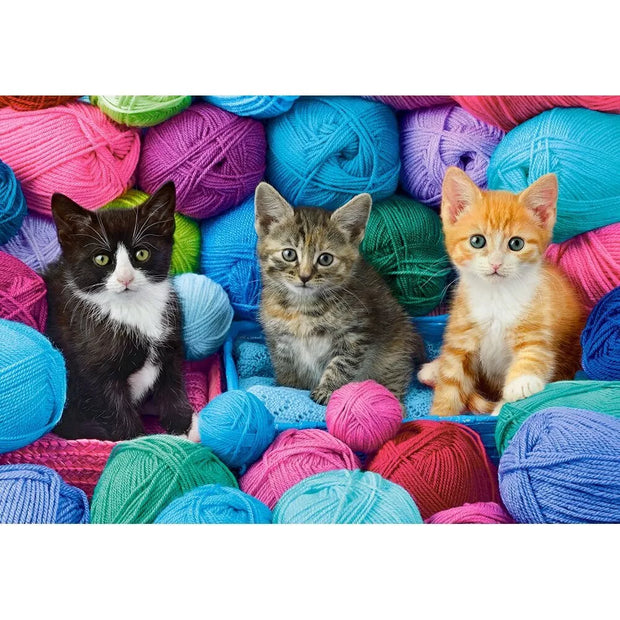 Castorland dėlionė Kittens In Yam Store  1000 det.