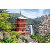 Castorland dėllionė SEIGANTO-JI TEMPLE, JAPAN 1000 det.