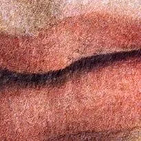 CherryPazzi dėlionė Face of Venus by Sandro Botticelli 1000 det.