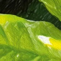 CherryPazzi dėlionė Chameleon 1000 det.