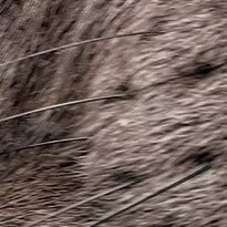 CherryPazzi dėlionė I’m watching you 1000 det.