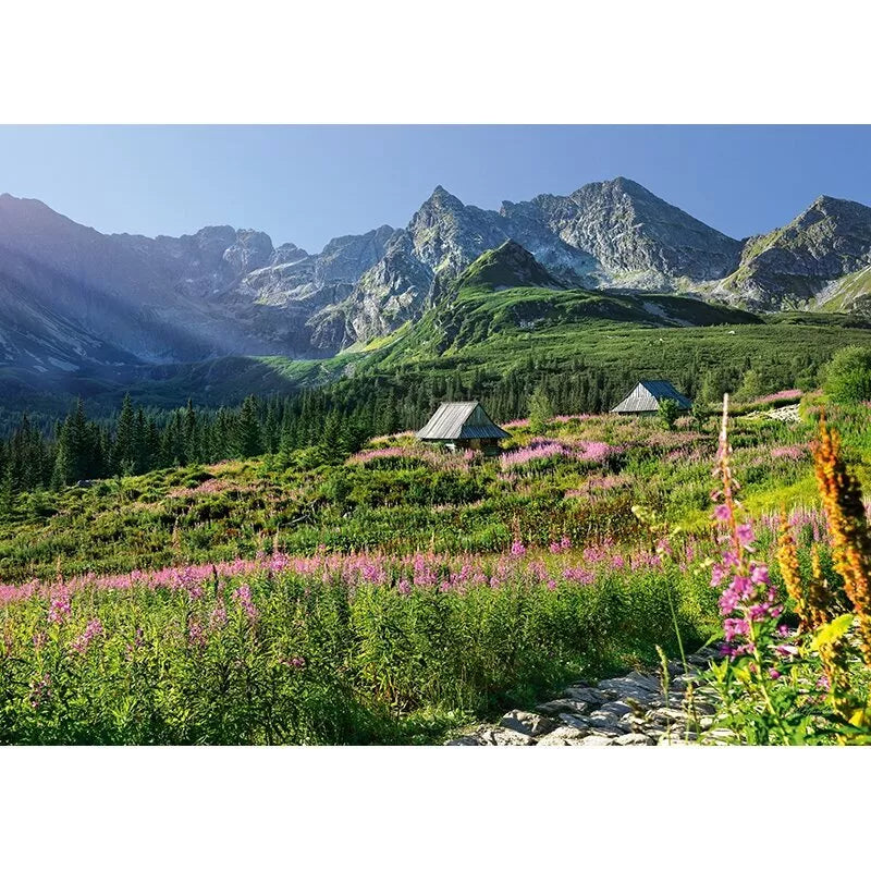 CherryPazzi dėlionė Gasienicowa  hall in Tatras 1000 det.