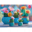 CherryPazzi dėlionė Bloomy Cactus Fireworks 1000 det