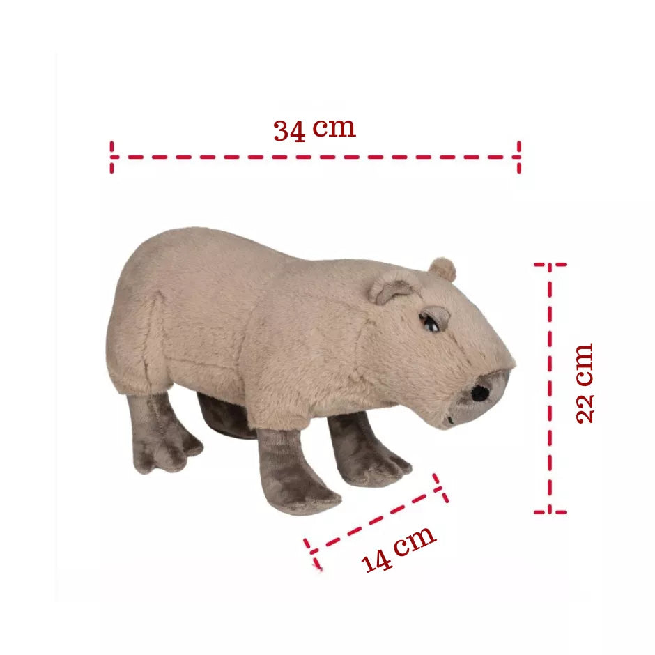 Fancy minkštas žaislas kapibara 40 cm